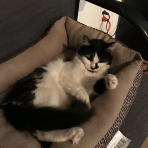 Meet your Posher, Robert